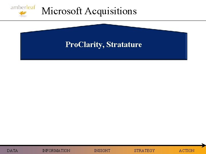 Microsoft Acquisitions Pro. Clarity, Stratature DATA INFORMATION INSIGHT STRATEGY ACTION 