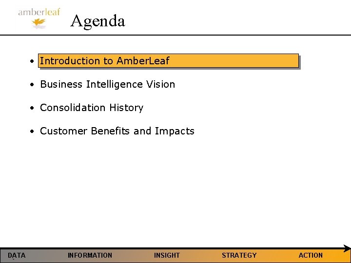 Agenda • Introduction to Amber. Leaf • Business Intelligence Vision • Consolidation History •