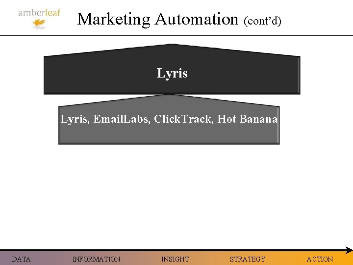 Marketing Automation (cont’d) Lyris, Email. Labs, Click. Track, Hot Banana DATA INFORMATION INSIGHT STRATEGY