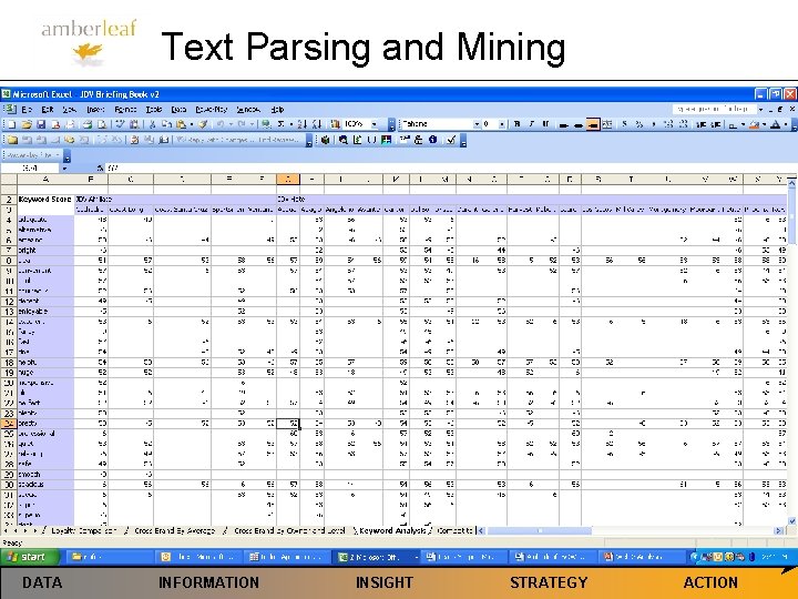 Text Parsing and Mining DATA INFORMATION INSIGHT STRATEGY ACTION 