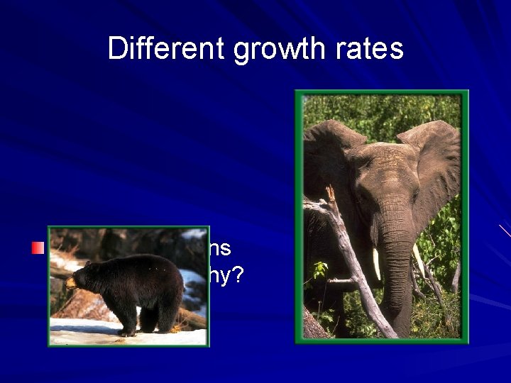Different growth rates Some populations grow slowly. Why? – Ex: elephants, bears 