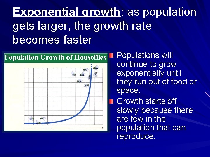 Exponential growth: as population gets larger, the growth rate becomes faster Population Growth of