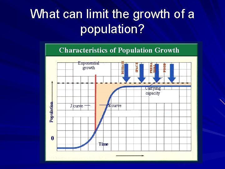 What can limit the growth of a population? Population Carrying capacity J curve S