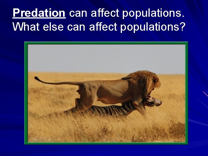 Predation can affect populations. What else can affect populations? 