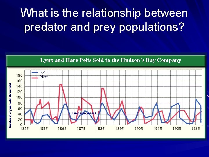 What is the relationship between predator and prey populations? Lynx and Hare Pelts Sold