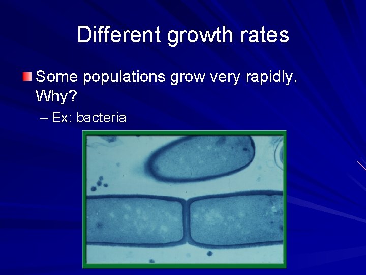Different growth rates Some populations grow very rapidly. Why? – Ex: bacteria 