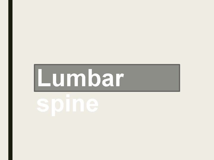 Lumbar spine 