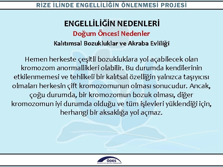 ENGELLİLİĞİN NEDENLERİ Doğum Öncesi Nedenler Kalıtımsal Bozukluklar ve Akraba Evliliği Hemen herkeste çeşitli bozukluklara