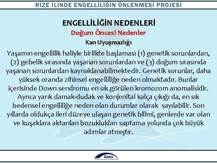 ENGELLİLİĞİN NEDENLERİ Doğum Öncesi Nedenler Kan Uyuşmazlığı Yaşamın engellilik haliyle birlikte başlaması (1) genetik