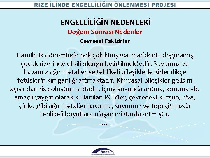 ENGELLİLİĞİN NEDENLERİ Doğum Sonrası Nedenler Çevresel Faktörler Hamilelik döneminde pek çok kimyasal maddenin doğmamış