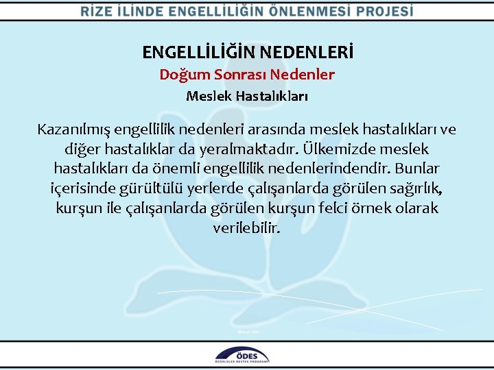 ENGELLİLİĞİN NEDENLERİ Doğum Sonrası Nedenler Meslek Hastalıkları Kazanılmış engellilik nedenleri arasında meslek hastalıkları ve