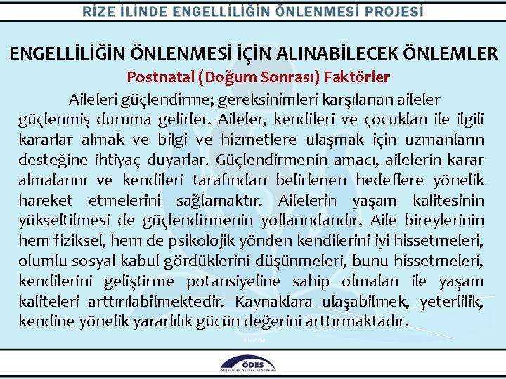 ENGELLİLİĞİN ÖNLENMESİ İÇİN ALINABİLECEK ÖNLEMLER Postnatal (Doğum Sonrası) Faktörler Aileleri güçlendirme; gereksinimleri karşılanan aileler