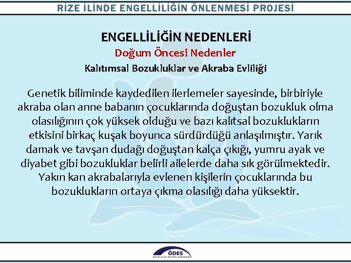 ENGELLİLİĞİN NEDENLERİ Doğum Öncesi Nedenler Kalıtımsal Bozukluklar ve Akraba Evliliği Genetik biliminde kaydedilen ilerlemeler