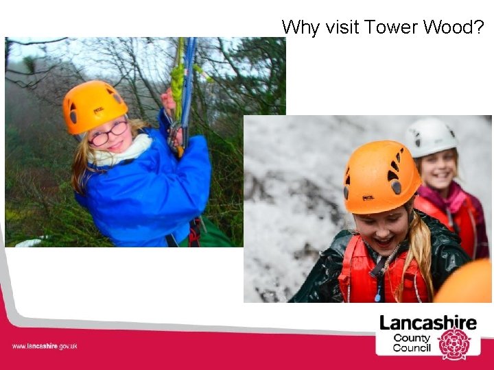 Why visit Tower Wood? 