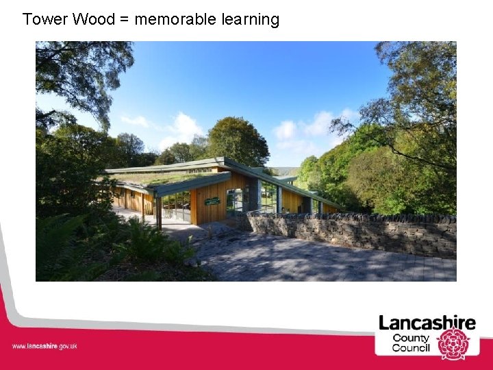 Tower Wood = memorable learning 