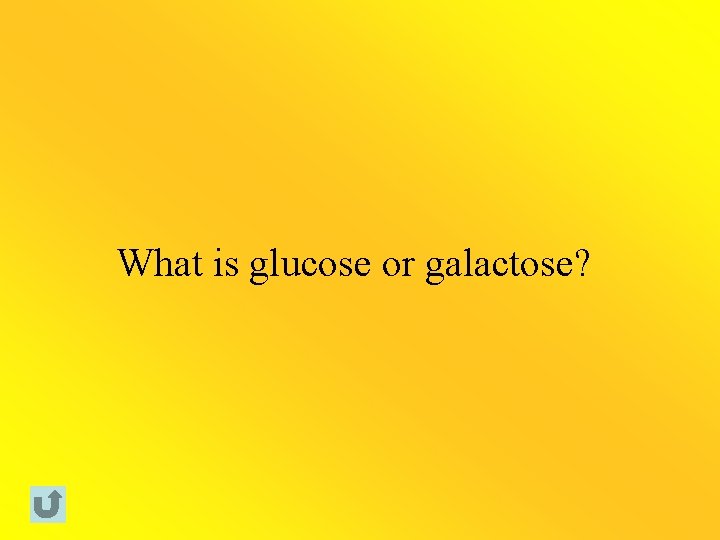 What is glucose or galactose? 