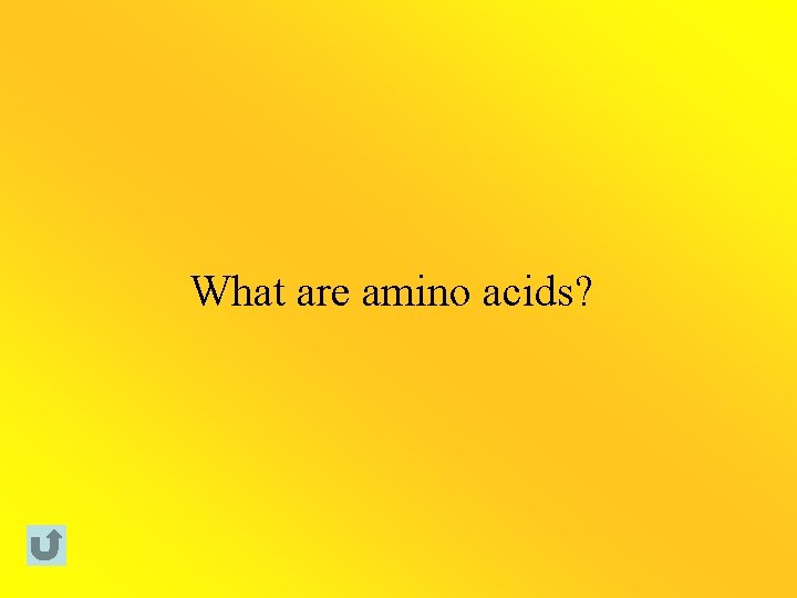 What are amino acids? 