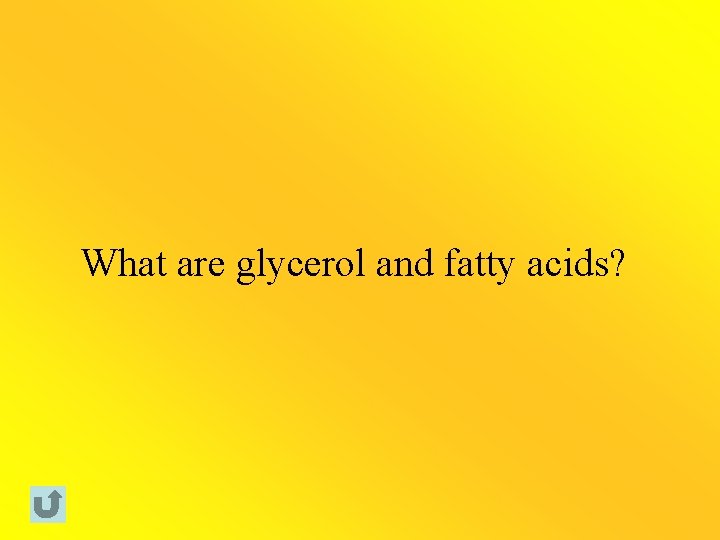 What are glycerol and fatty acids? 