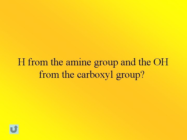 H from the amine group and the OH from the carboxyl group? 