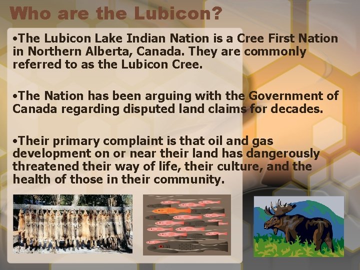 Who are the Lubicon? • The Lubicon Lake Indian Nation is a Cree First