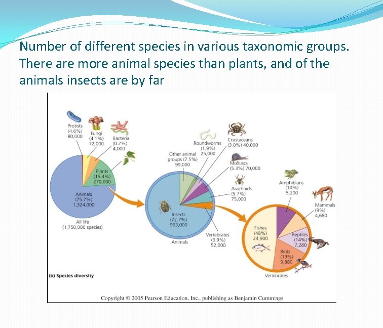 Number of different species in various taxonomic groups. There are more animal species than