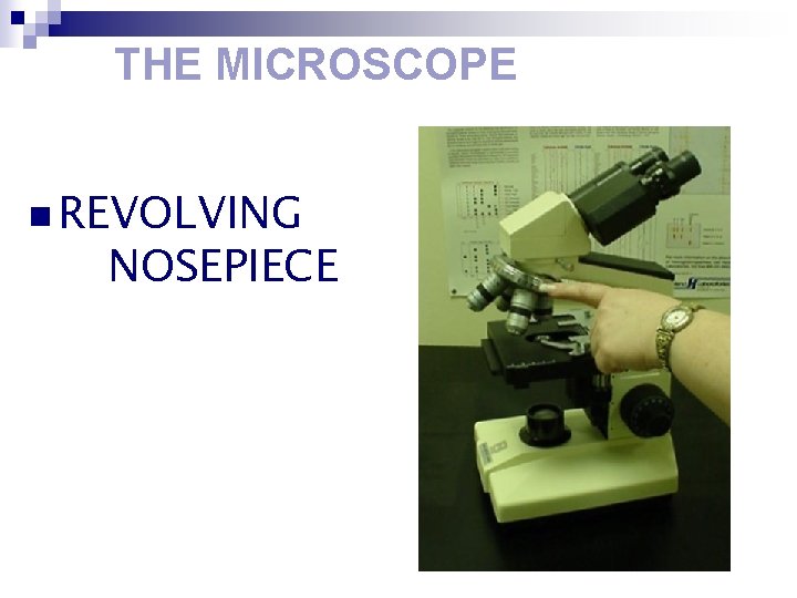 THE MICROSCOPE n REVOLVING NOSEPIECE 