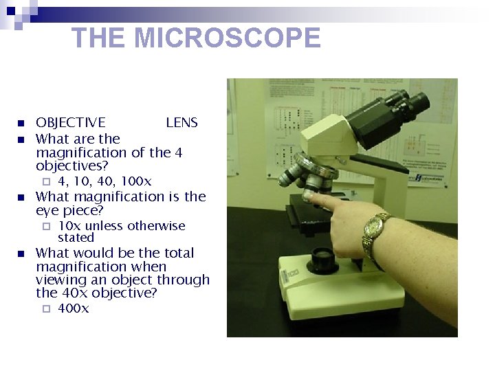 THE MICROSCOPE n n OBJECTIVE LENS What are the magnification of the 4 objectives?