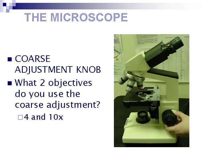 THE MICROSCOPE COARSE ADJUSTMENT KNOB n What 2 objectives do you use the coarse