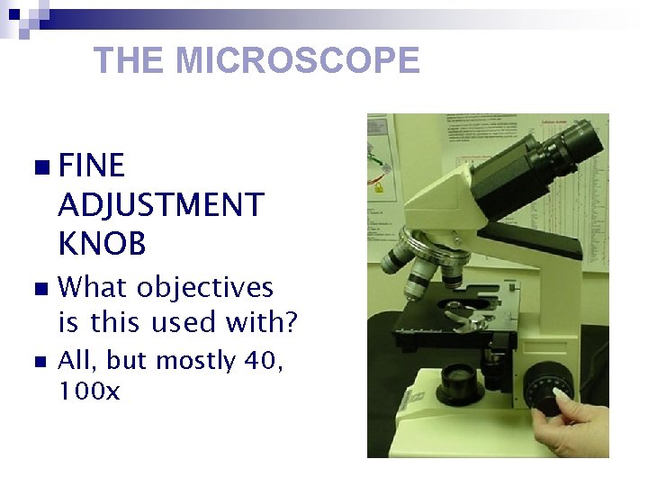 THE MICROSCOPE n FINE ADJUSTMENT KNOB n n What objectives is this used with?