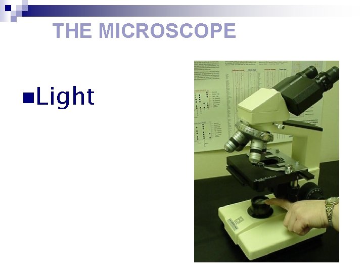 THE MICROSCOPE n. Light 