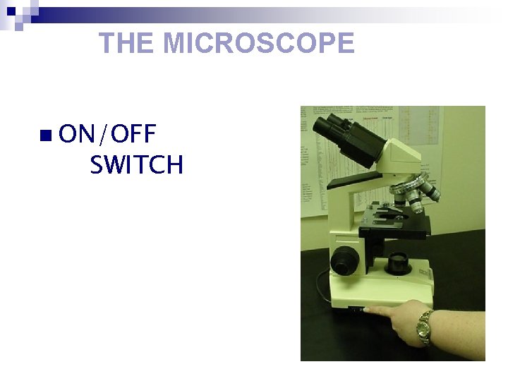 THE MICROSCOPE n ON/OFF SWITCH 