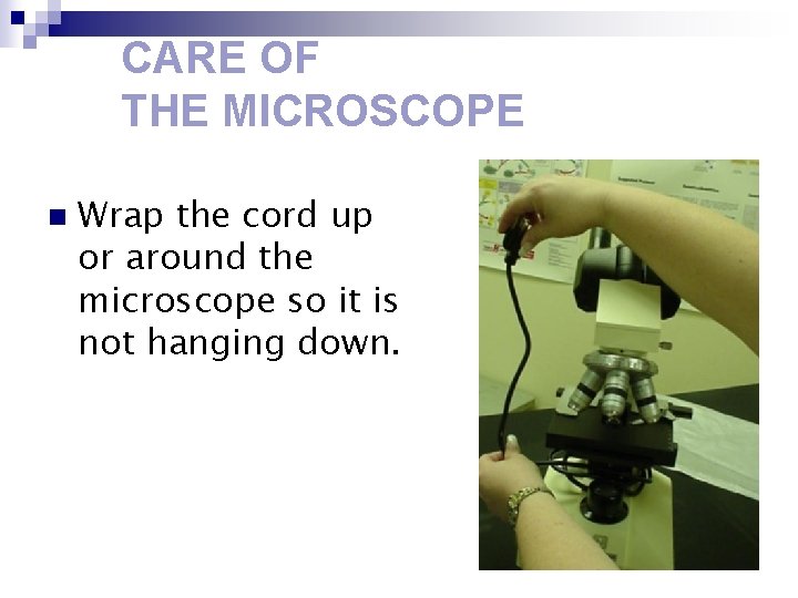CARE OF THE MICROSCOPE n Wrap the cord up or around the microscope so