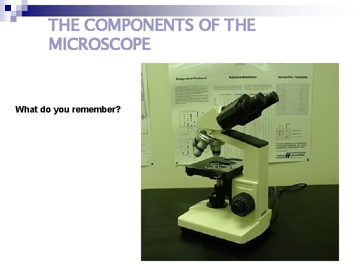 THE COMPONENTS OF THE MICROSCOPE What do you remember? 