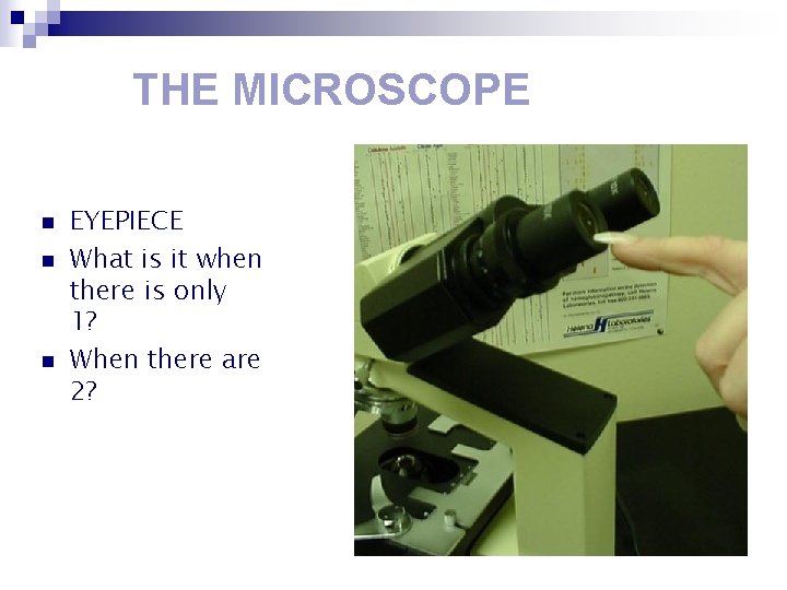THE MICROSCOPE n n n EYEPIECE What is it when there is only 1?