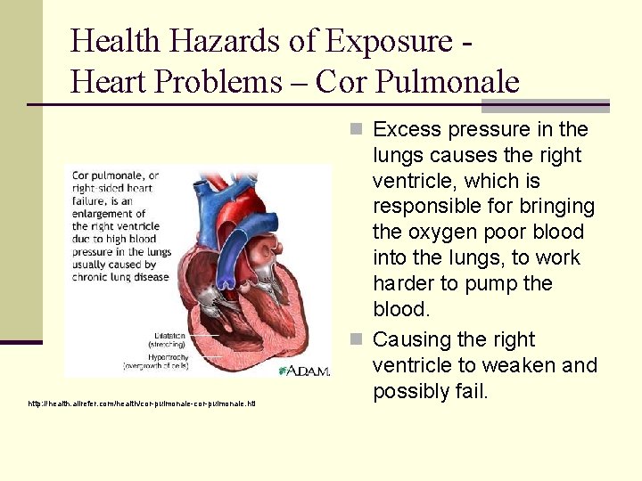 Health Hazards of Exposure Heart Problems – Cor Pulmonale n Excess pressure in the
