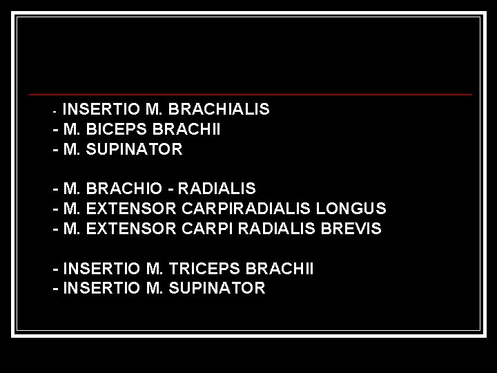 INSERTIO M. BRACHIALIS - M. BICEPS BRACHII - M. SUPINATOR - - M. BRACHIO