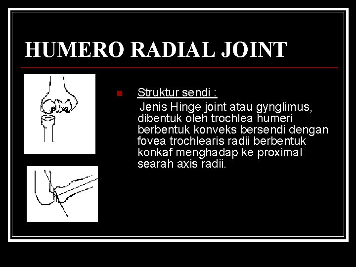 HUMERO RADIAL JOINT n Struktur sendi : Jenis Hinge joint atau gynglimus, dibentuk oleh