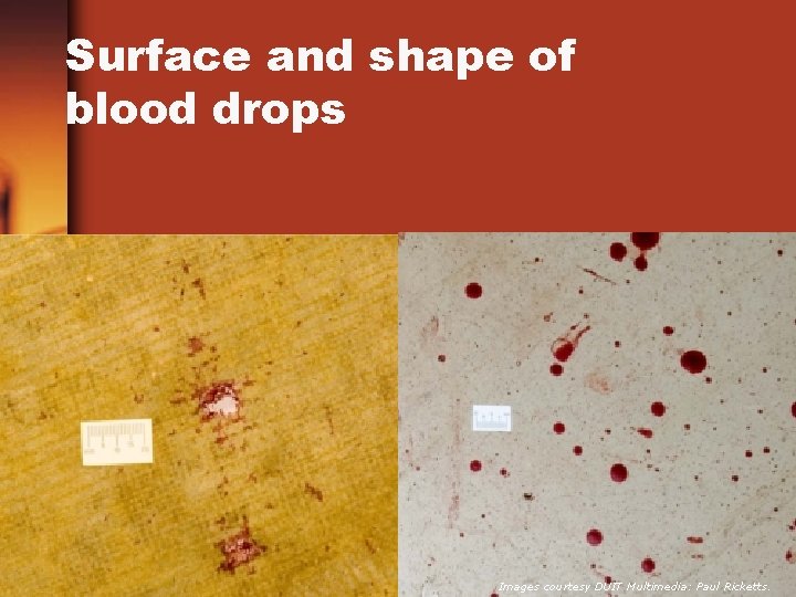 Surface and shape of blood drops Images courtesy DUIT Multimedia: Paul Ricketts. 