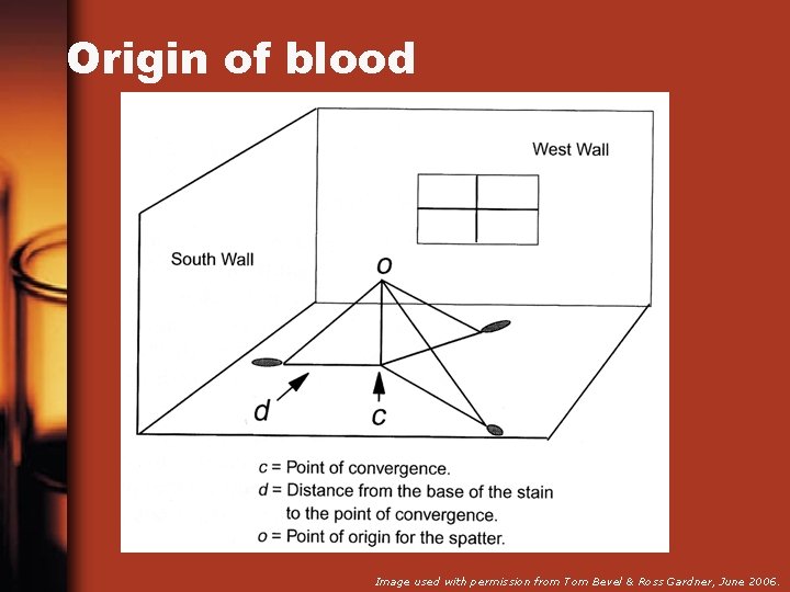 Origin of blood Image used with permission from Tom Bevel & Ross Gardner, June
