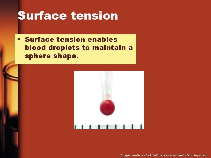 Surface tension • Surface tension enables blood droplets to maintain a sphere shape. Image