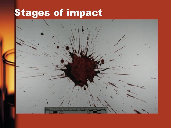 Stages of impact 