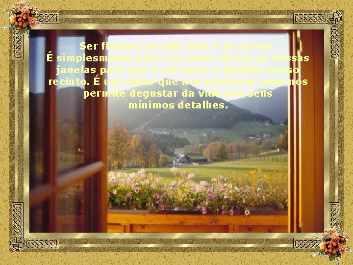 Ser flexível na vida não é se curvar. É simplesmente abrir-se como abrem-se nossas