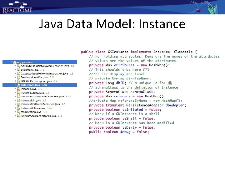 Java Data Model: Instance Java Data Model: Instance
