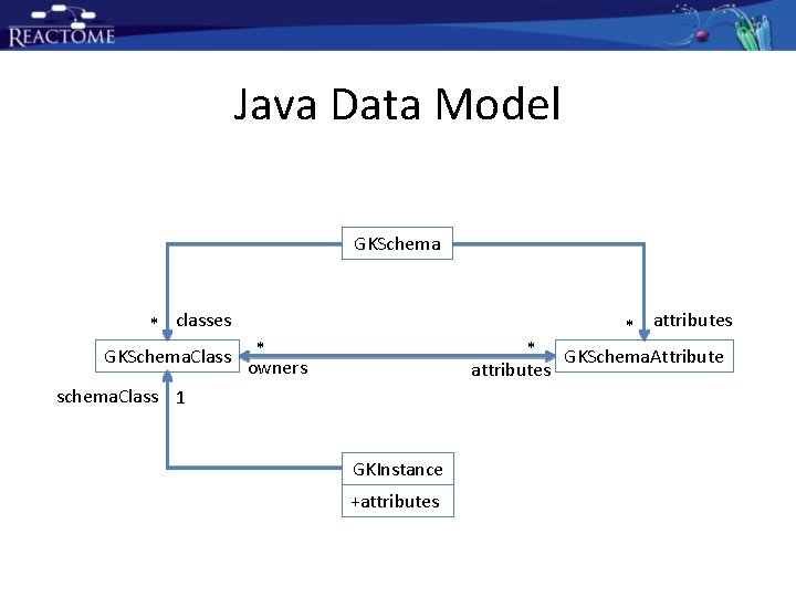 Java Data Model GKSchema * classes GKSchema. Class * owners * attributes schema. Class Java Data Model GKSchema * classes GKSchema. Class * owners * attributes schema. Class