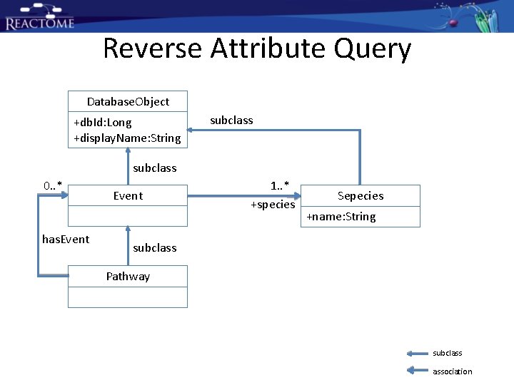 Reverse Attribute Query Database. Object +db. Id: Long +display. Name: String subclass 0. . Reverse Attribute Query Database. Object +db. Id: Long +display. Name: String subclass 0. .