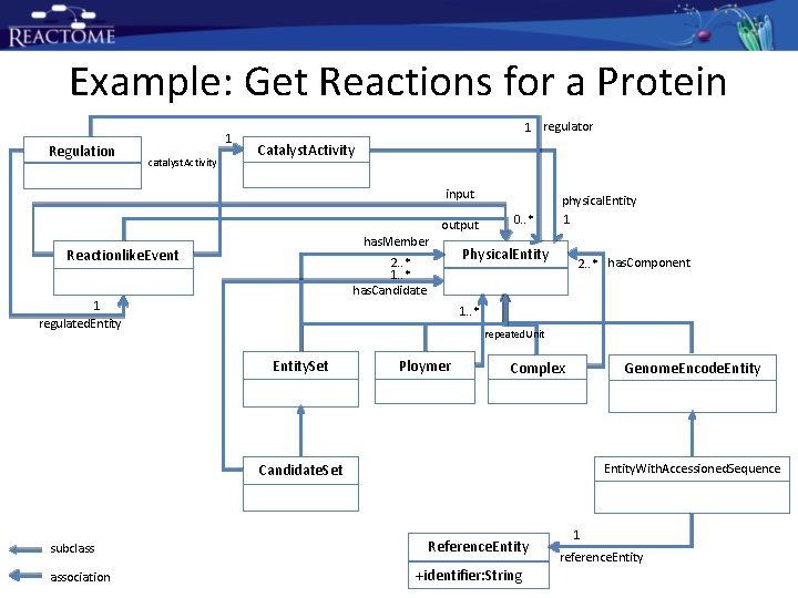 Example: Get Reactions for a Protein Regulation 1 catalyst. Activity 1 regulator Catalyst. Activity Example: Get Reactions for a Protein Regulation 1 catalyst. Activity 1 regulator Catalyst. Activity