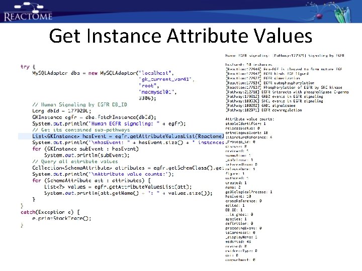 Get Instance Attribute Values Get Instance Attribute Values