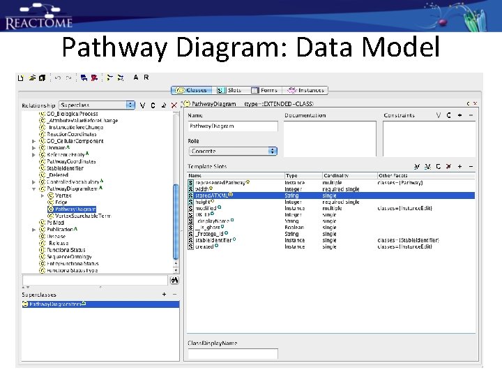 Pathway Diagram: Data Model Pathway Diagram: Data Model