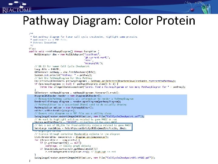 Pathway Diagram: Color Protein Pathway Diagram: Color Protein