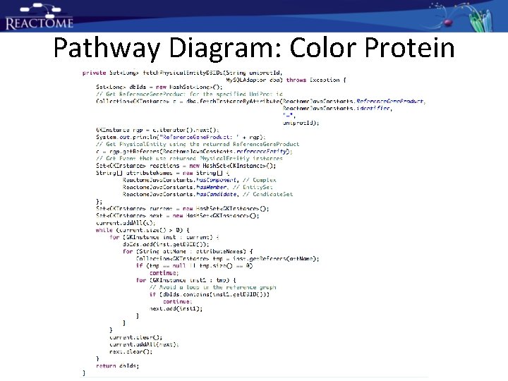 Pathway Diagram: Color Protein Pathway Diagram: Color Protein